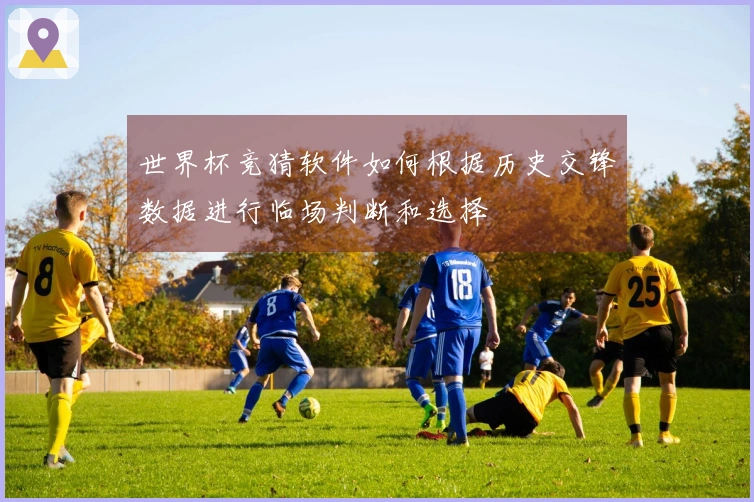 世界杯竞猜软件如何根据历史交锋数据进行临场判断和选择