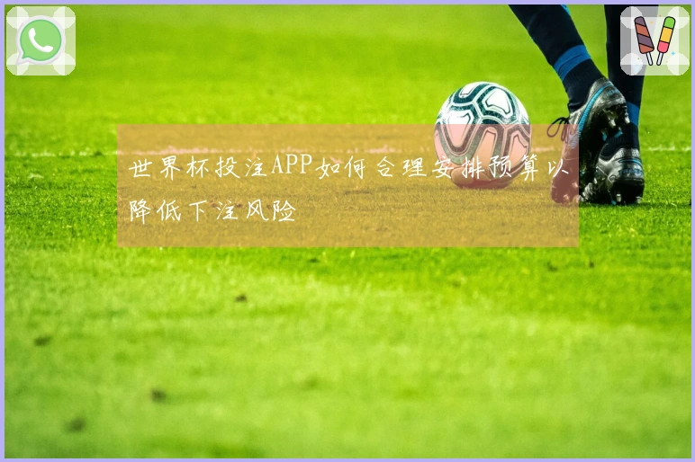 世界杯投注APP如何合理安排预算以降低下注风险