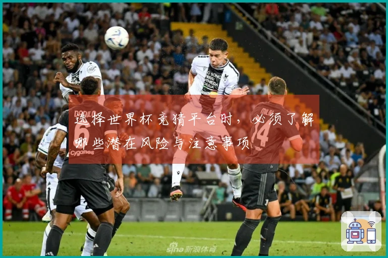 选择世界杯竞猜平台时，必须了解哪些潜在风险与注意事项