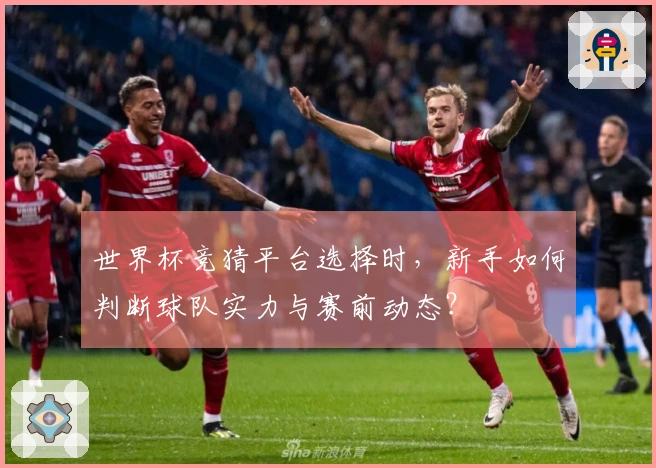 世界杯竞猜平台选择时，新手如何判断球队实力与赛前动态？