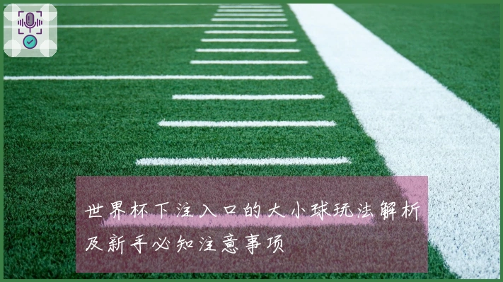世界杯下注入口的大小球玩法解析及新手必知注意事项