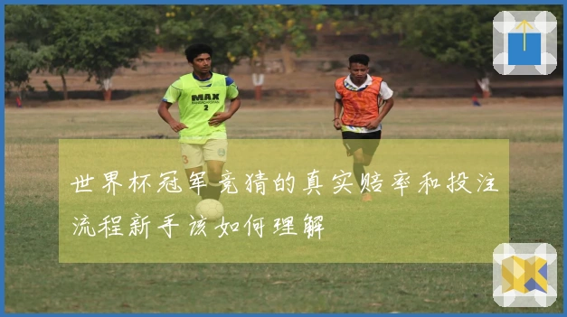 世界杯冠军竞猜的真实赔率和投注流程新手该如何理解