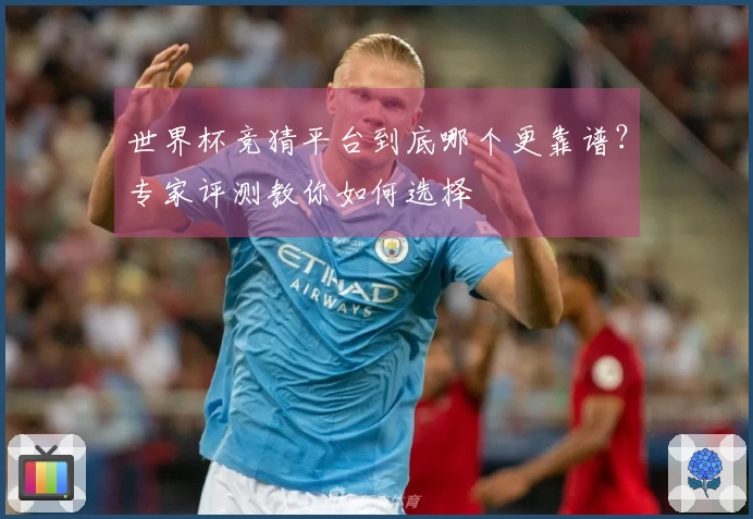 世界杯竞猜平台到底哪个更靠谱？专家评测教你如何选择