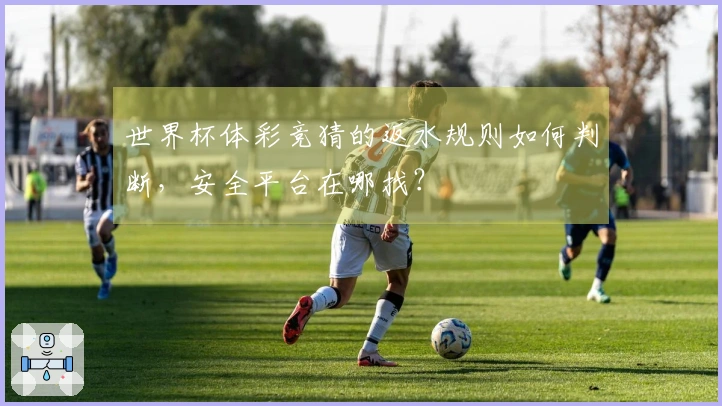世界杯体彩竞猜的返水规则如何判断，安全平台在哪找？