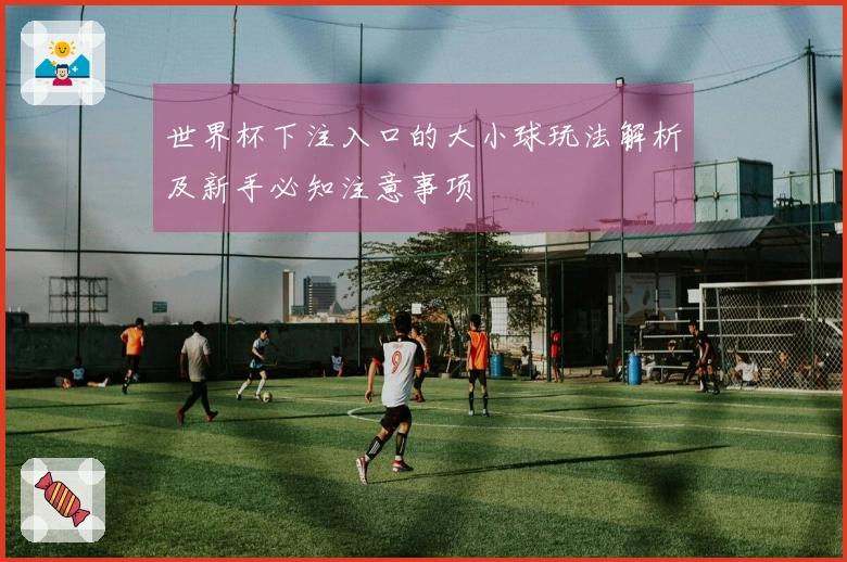 世界杯下注入口的大小球玩法解析及新手必知注意事项