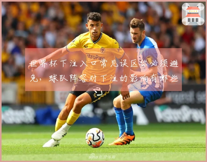 世界杯下注入口常见误区你必须避免，球队阵容对下注的影响有哪些？