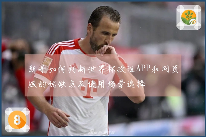 新手如何判断世界杯投注APP和网页版的优缺点及使用场景选择