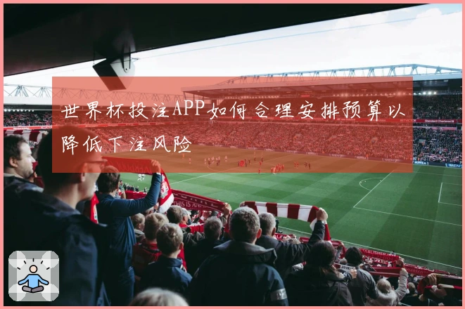世界杯投注APP如何合理安排预算以降低下注风险