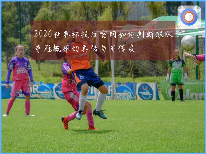 2026世界杯投注官网如何判断球队夺冠概率的真伪与可信度