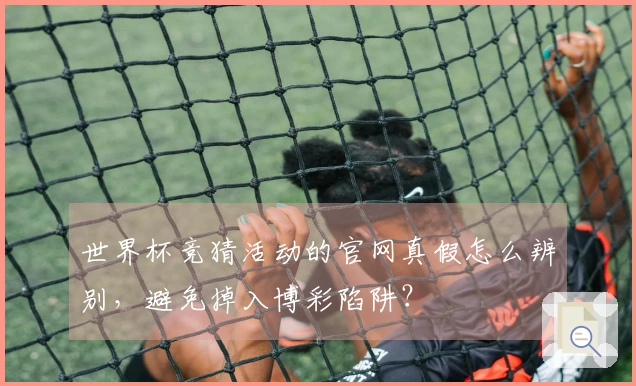 世界杯竞猜活动的官网真假怎么辨别，避免掉入博彩陷阱？