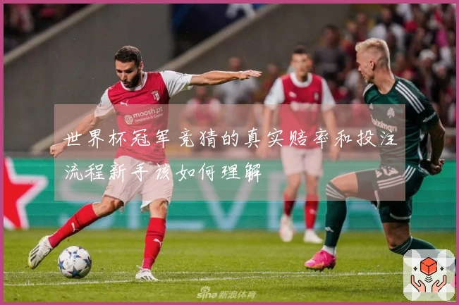 世界杯冠军竞猜的真实赔率和投注流程新手该如何理解