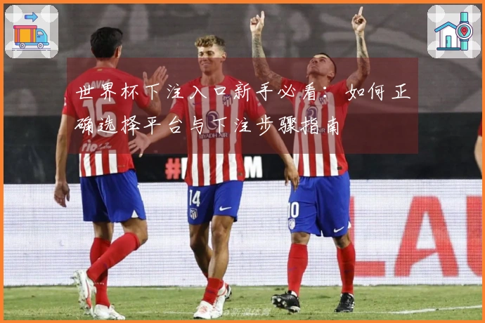 世界杯下注入口新手必看：如何正确选择平台与下注步骤指南