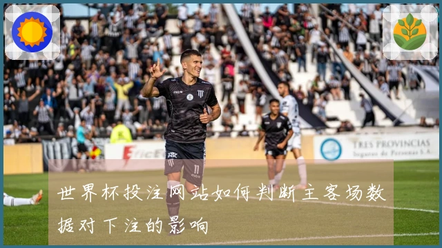 世界杯投注网站如何判断主客场数据对下注的影响