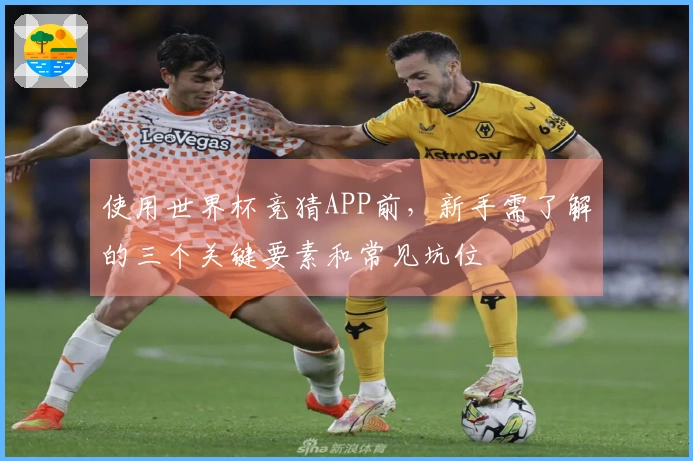 使用世界杯竞猜APP前，新手需了解的三个关键要素和常见坑位