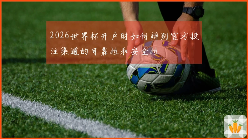 2026世界杯开户时如何辨别官方投注渠道的可靠性和安全性