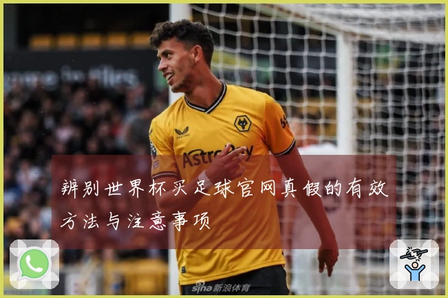 辨别世界杯买足球官网真假的有效方法与注意事项