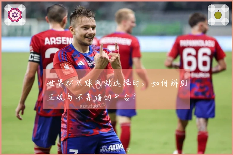 世界杯买球网站选择时，如何辨别正规与不靠谱的平台？