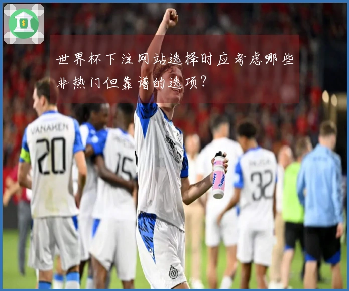 世界杯下注网站选择时应考虑哪些非热门但靠谱的选项？