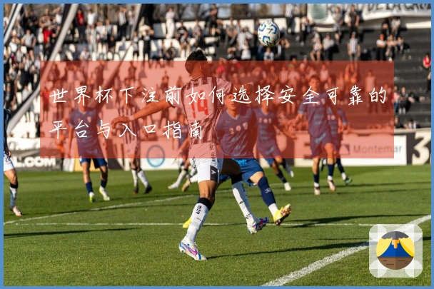 世界杯下注前如何选择安全可靠的平台与入口指南