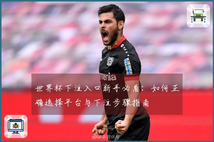 世界杯下注入口新手必看：如何正确选择平台与下注步骤指南